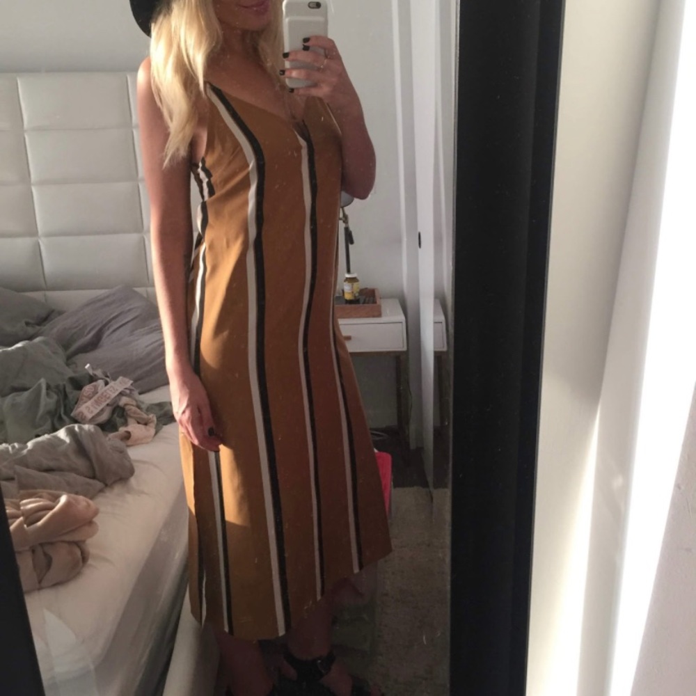 Amuse Society striped dress
